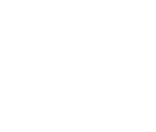 icon_development